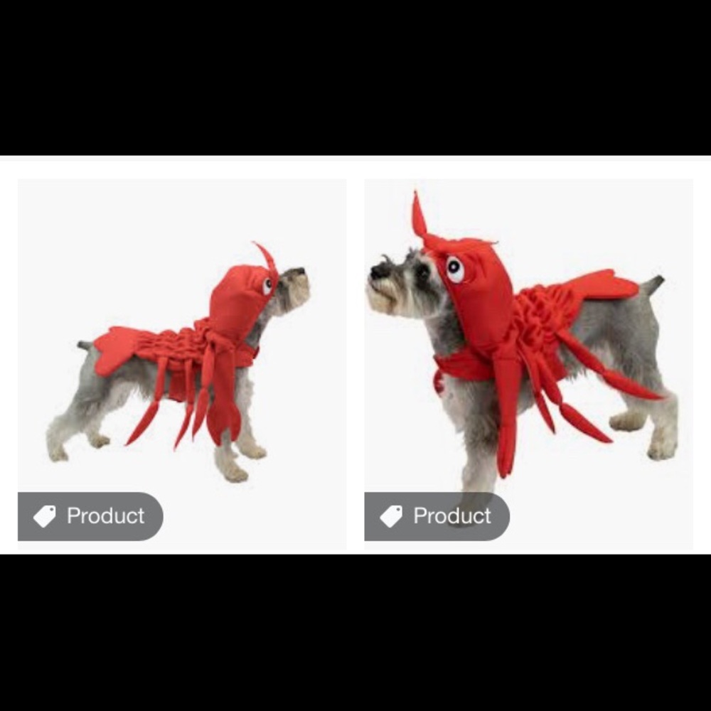 👗Lobster Halloween Outfit Size Small Dog/Cat👗 17
